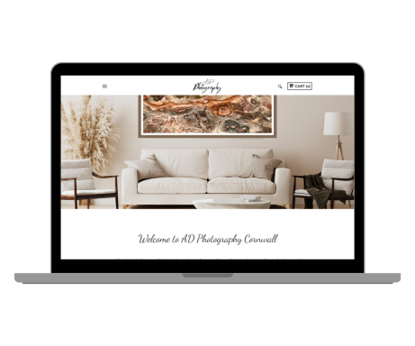 Ashley Daniel Photography Website By Rocket Media Services A modern living room with a light sofa and decorative wall art.
